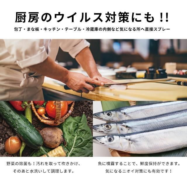 コロナ 消毒 次亜塩素酸水 ウイルス対策 手指除菌 除菌水 エバリー