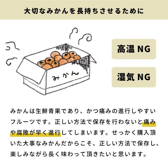 みかん 10kg 訳あり 温州みかん ｜佐賀みかん 10kg 未選別 SSサイズ〜3Lサイズ混合 家庭用 ｜4〜5個（300〜400g）保証付き｜every-store｜11