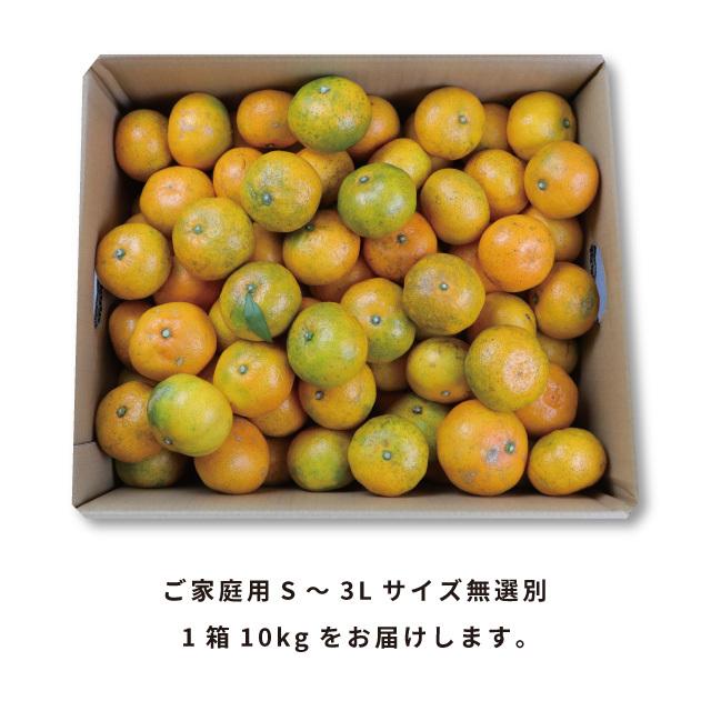 みかん 10kg 訳あり 温州みかん ｜佐賀みかん 10kg 未選別 SSサイズ〜3Lサイズ混合 家庭用 ｜4〜5個（300〜400g）保証付き｜every-store｜06