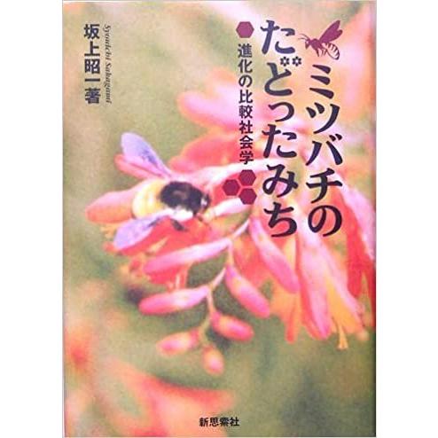 ミツバチのたどったみち　新装版｜everydaybooks