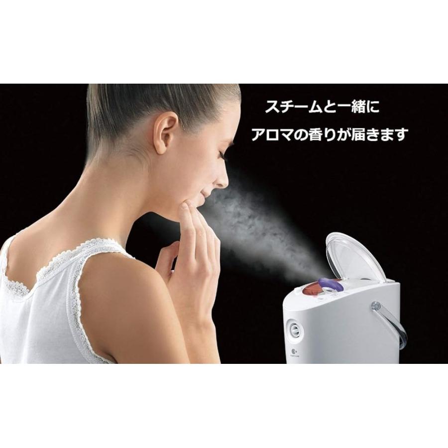 パナソニック スチーマー ナノケア 2Wayタイプ ピンク調 EH-SA67-P