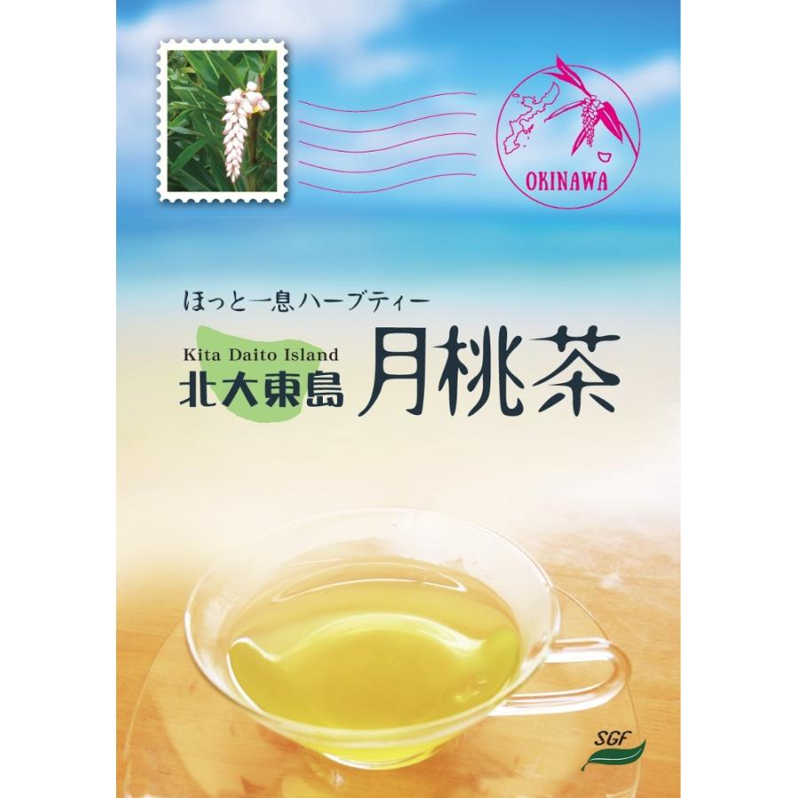 北大東島 月桃茶（2g×20包） |  | 01
