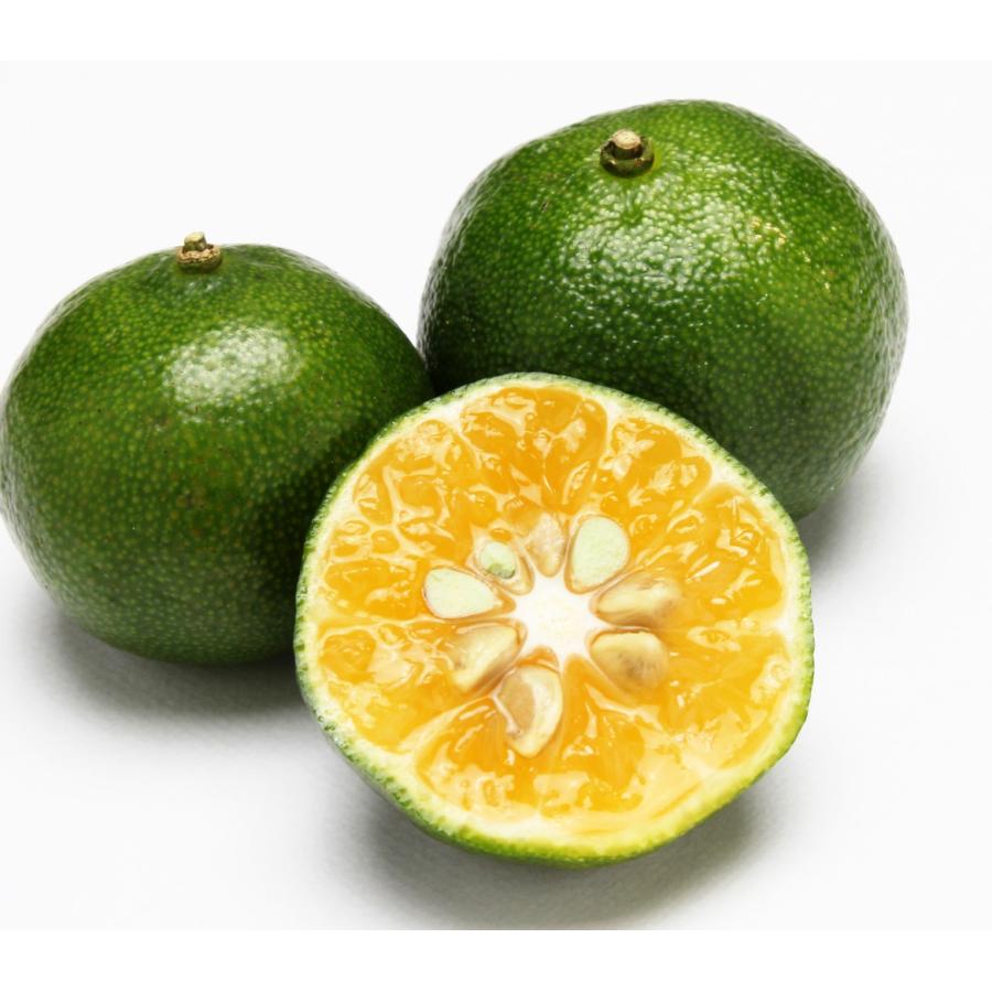 勝山シークヮーサー原液（青切り）300ml【2本】 |  | 05