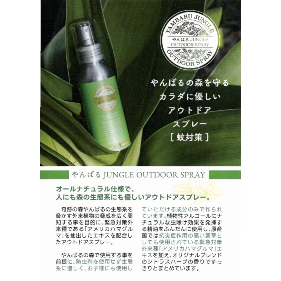 やんばるジャングル アウトドアスプレー 100ml [虫・蚊よけ対策] ボディ用化粧水 |  | 02