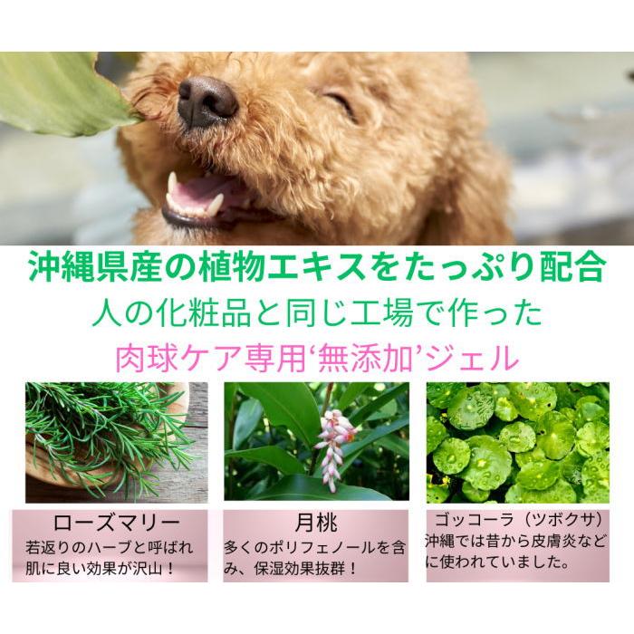 【犬猫用】肉球ジェル 30g｜舐めても安全 合成保存料等無添加 沖縄の月桃エキス配合 |  | 10
