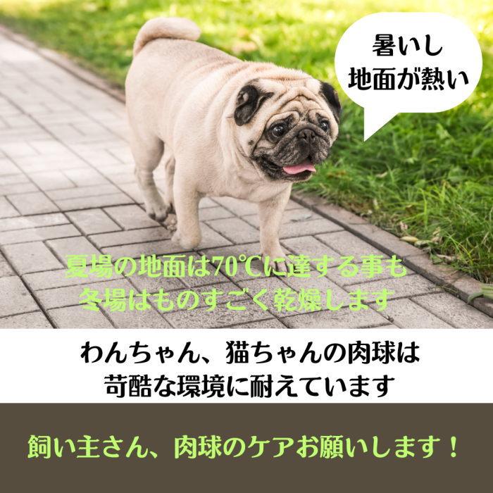 【犬猫用】肉球ジェル 30g｜舐めても安全 合成保存料等無添加 沖縄の月桃エキス配合 |  | 04
