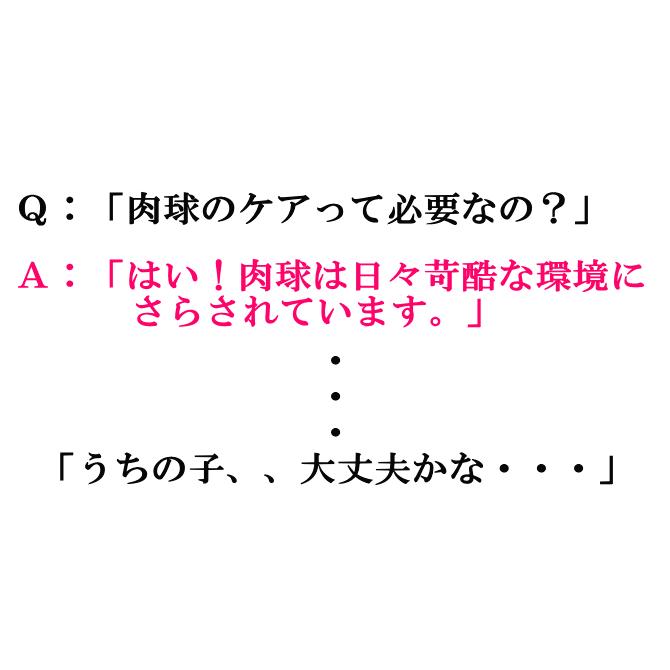 【犬猫用】肉球ジェル 30g｜舐めても安全 合成保存料等無添加 沖縄の月桃エキス配合 |  | 05