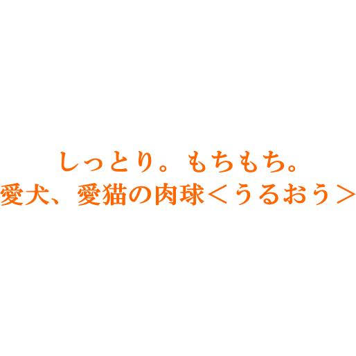 【犬猫用】肉球ジェル 30g｜舐めても安全 合成保存料等無添加 沖縄の月桃エキス配合 |  | 07