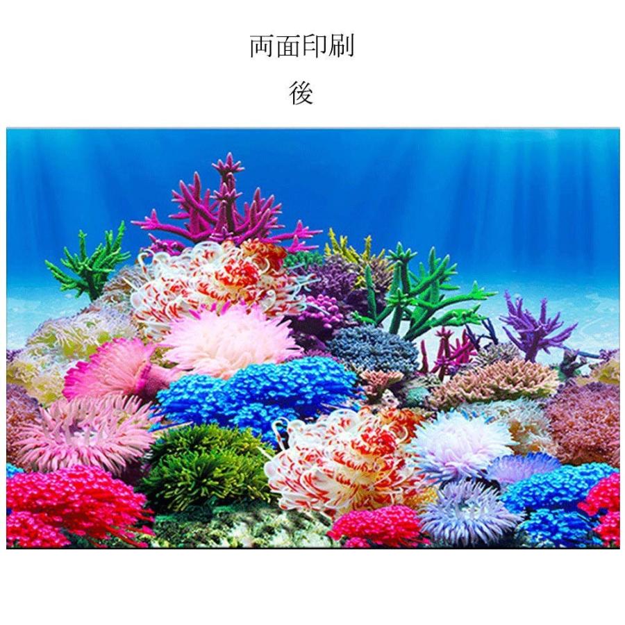 30x52cm 水族館ポスター バックスクリーン ３ｄ効果 両面壁紙 水槽の背景 水槽の飾り 水草とサンゴ礁のポスター Evidenthree 通販 Yahoo ショッピング