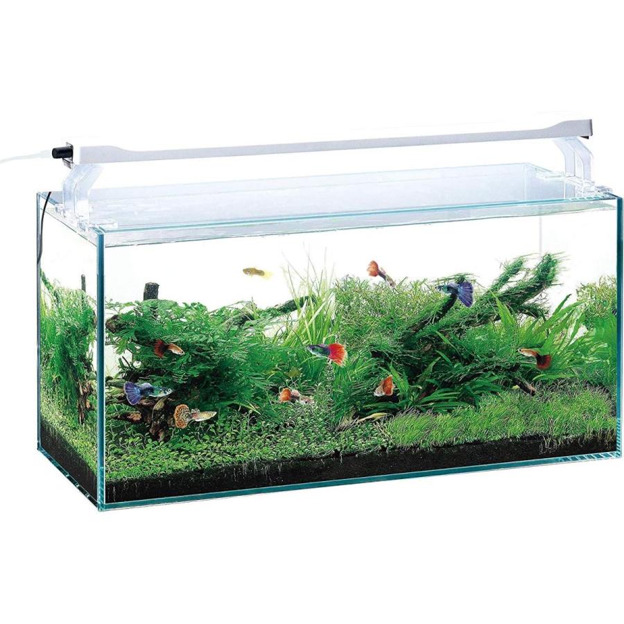 ジェックス クリアled Power Slim 450ホワイト 観賞魚用ライト ホワイト 45cm水槽用 奥行スリム5cm その他水槽用品 Www Mantraman Com Mx