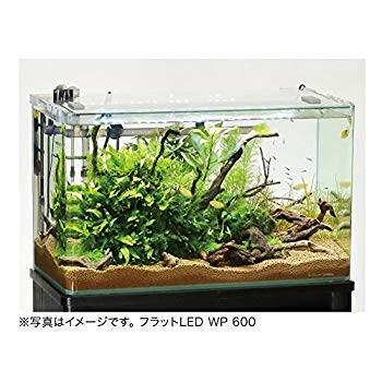 即発送可能 寿工芸 フラットled Wp600 即納 最大半額 Zoetalentsolutions Com