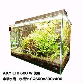 アクアシステム AXY L10 600 W アクアシステム AXY L10