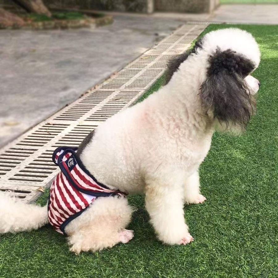 Petleso 犬オムツ 犬用サニタリーパンツ 3枚 洗える 再利用可能 女の子用 発情期用 雌犬 楽ギフ のし宛書 生理用 パンツ 生理パンツl