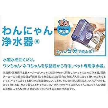 ジョン・ラッシュワース・ジェリコー 第一代ジェリコー伯爵バッチ