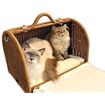 N4スタイル ラタンキャリーマイン M ブラウン SC-73BW N4スタイル ラタンキャリーマイン ブラウン SC 73BW