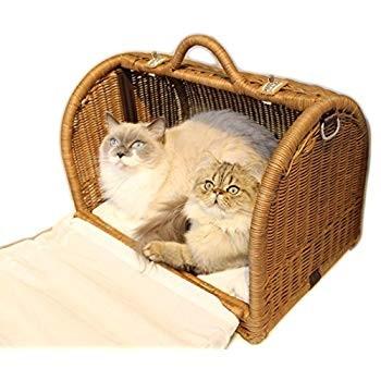 N4スタイル ラタンキャリーマイン M ブラウン SC-73BW N4スタイル ラタンキャリーマイン ブラウン SC 73BW