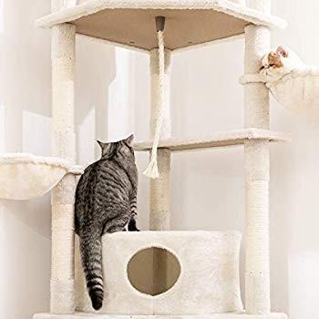 大型猫 Evidenthreeのmwpo おしゃれ キャットタワー 省スペース 突っ張り 多頭飼い 爪みがき おもちゃ付き ベージュ H235 26 Mwpo ベージュ スリム 爪とぎ