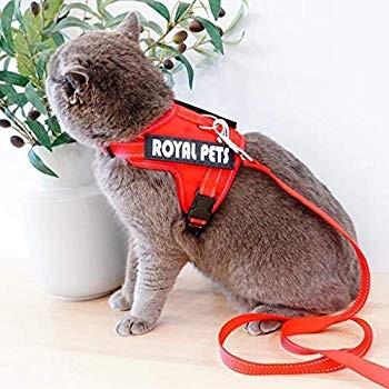 Sehoo猫リード ハーネス 可愛い 抜けにくい 小型犬 胴輪 猫用胸当て 散歩用 安全 子猫 反射テープ M Pulse Lk