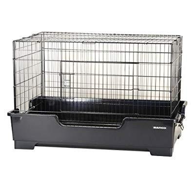 SANKO ワイルドホーム フェレット