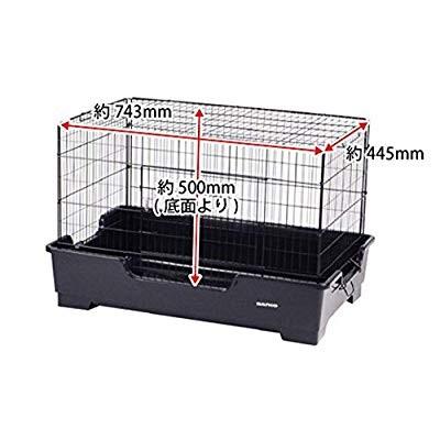 SANKO ワイルドホーム フェレット SANKO ワイルドホーム フェレット