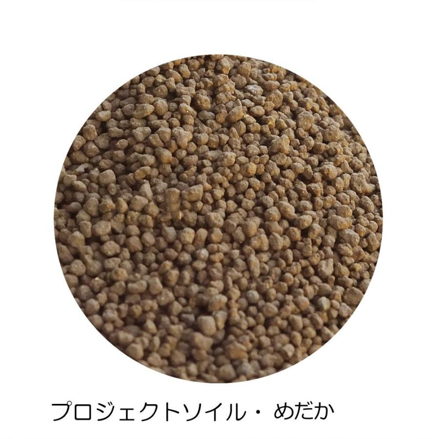アクアシステム プロジェクトソイル メダカ 2kg 001 Evidenthree 通販 Yahoo ショッピング
