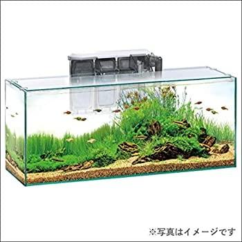 日本全国送料無料 ジェックス 水槽 グラステリア スリム600 6点セット Gts600 お気にいる Www Muslimaidusa Org