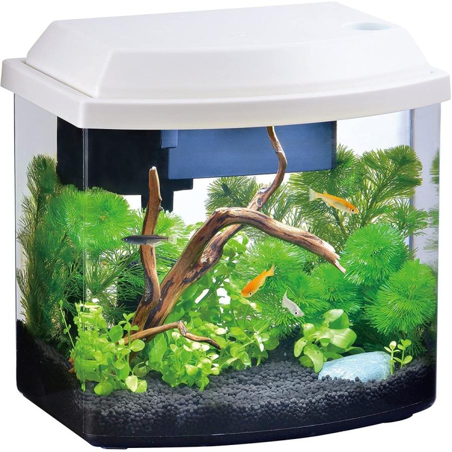 ジェックス メダカ元気 オールインワン水槽 Led フィルター付 メダカにやさしい水槽セット Evidenthree 通販 Yahoo ショッピング
