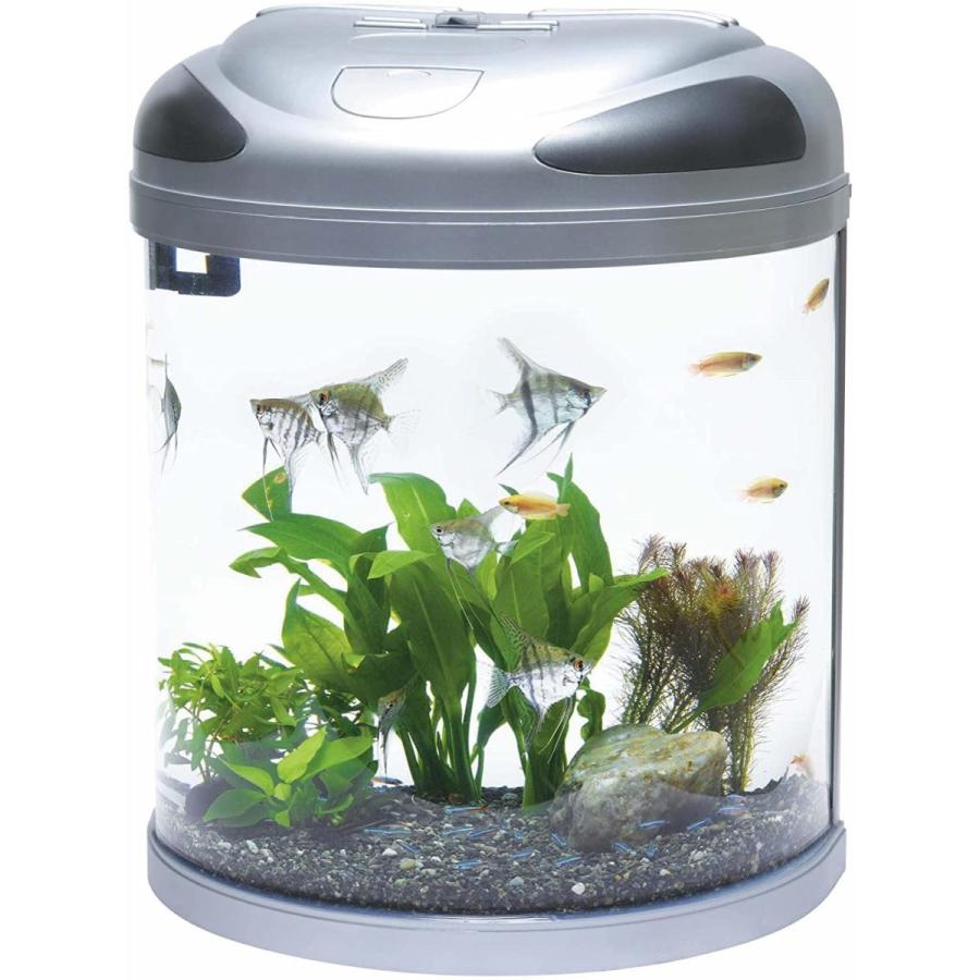 期間限定特価 テトラ Tetra ハーフムーンアクアリウムs Hmls 残りわずか Www Iniciatupyme Cl