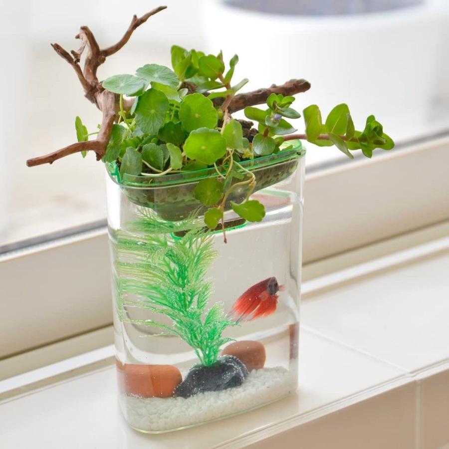 アクアテリア P110 ベタ用 プラ水槽と水耕栽培プランター 水槽おそうじ手袋セット 004 Evidenthree 通販 Yahoo ショッピング