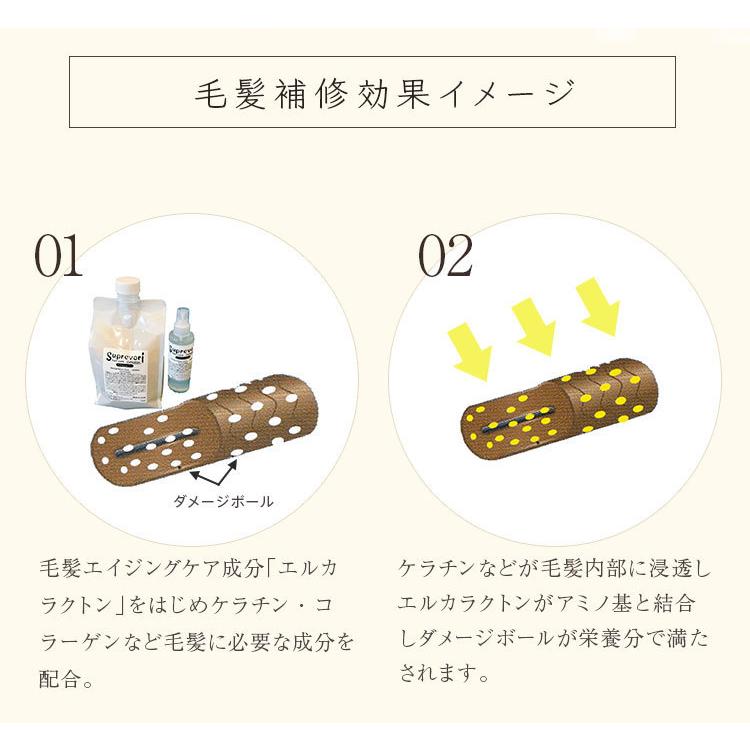 潤艶しっとり毛髪補修お得セット　 ヴェルモア・シャンプー200ml＆トリートメント150g＆シャイニングリペアコンク100ml　｜evis-suprevori｜17