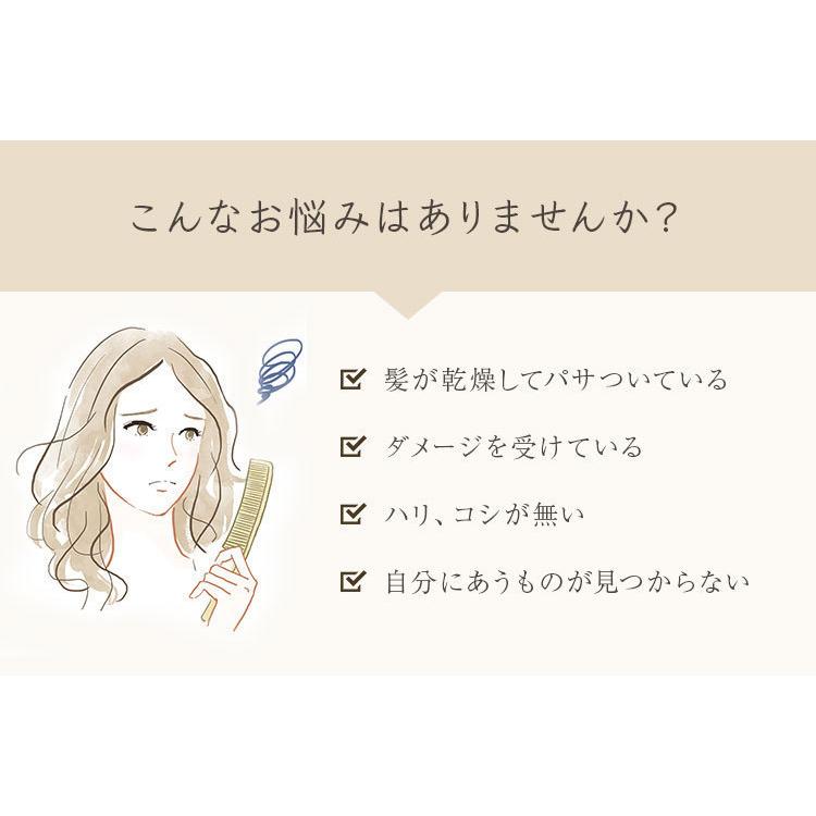業界最高レベルの毛髪補修力！髪を内部からキレイにシャイニングリペアコンク 1000ml　ピジュア　 流さない_5