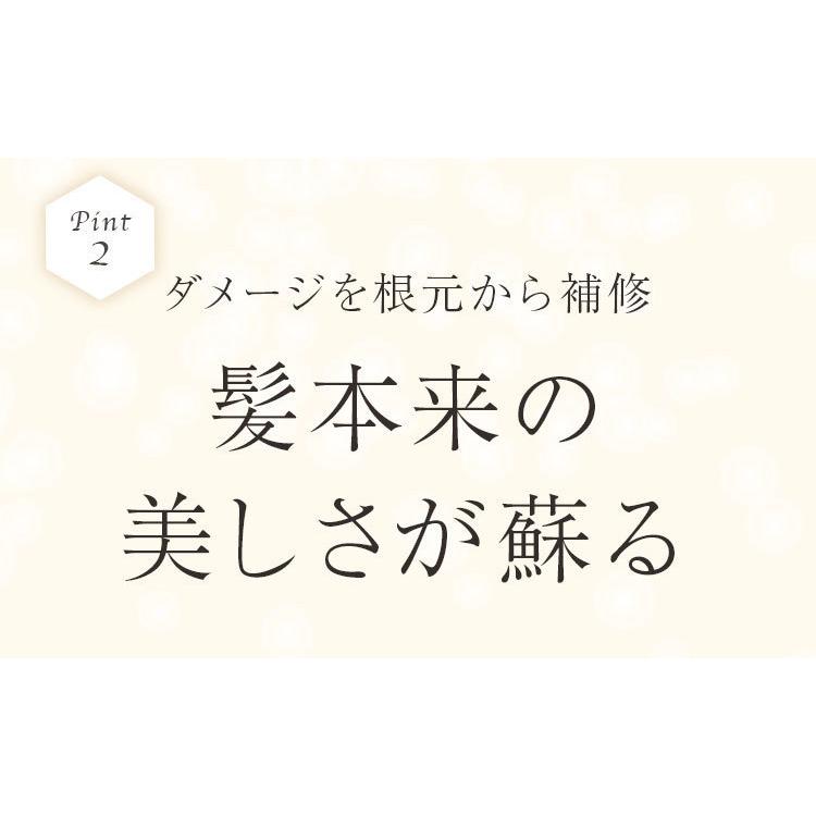 業界最高レベルの毛髪補修力！髪を内部からキレイにシャイニングリペアコンク 1000ml　ピジュア　 流さない_8