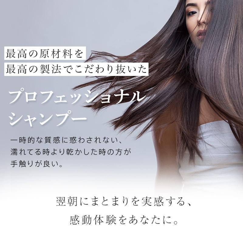 お得な2本セット さらつやタイプ 美容室専売 アミノ酸 スプレヴォリ ルミエア クレンジング1000ml詰め替えの画像