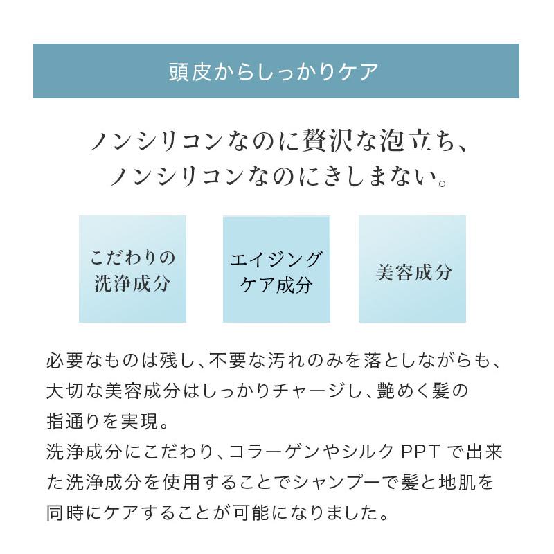 ルミエア・シャンプー トリートメント フラーレン・EGF・プラチナナノコロイド・プロテオグリカンなどエイジングケア成分配合 美容液シャンプー｜evis-suprevori｜15