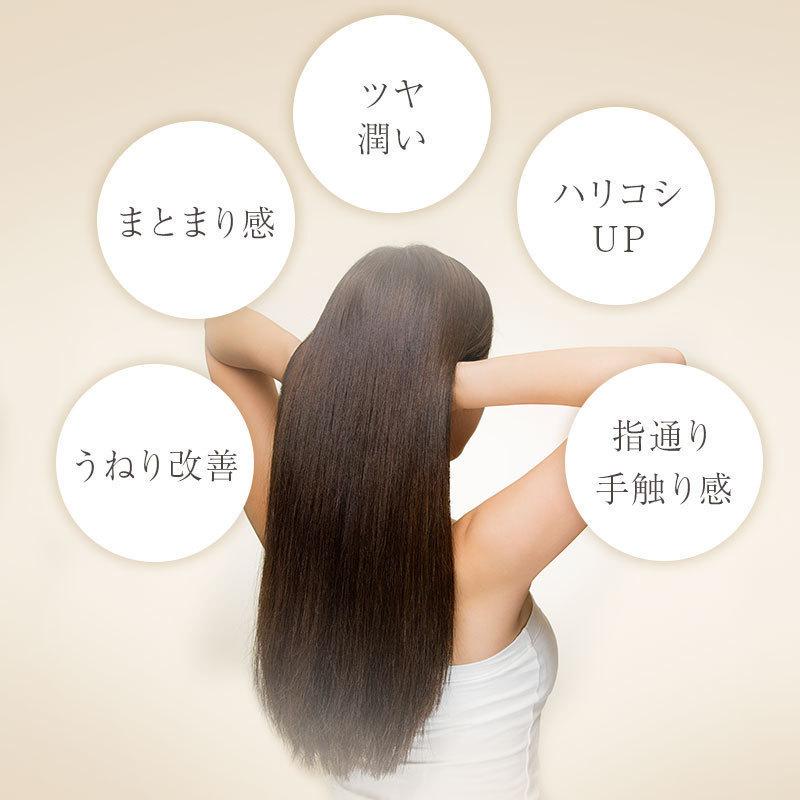 ノンシリコンシャンプー　ケラチントリートメント　集中ケア剤　ヘアオイルのセット くせ毛 美容室専売｜evis-suprevori｜15