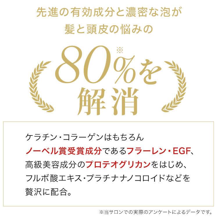 メリタン ヘマチン エイジングケア シャンプー 美容室専売 スプレヴォリ・ヴェルモアクレンジング 1000ml×２ しっとりタイプの画像