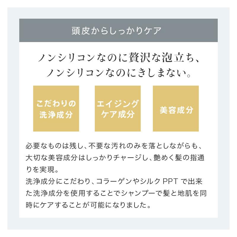 メリタン ヘマチン エイジングケア シャンプー 美容室専売 スプレヴォリ・ヴェルモアクレンジング 1000ml×２ しっとりタイプの画像