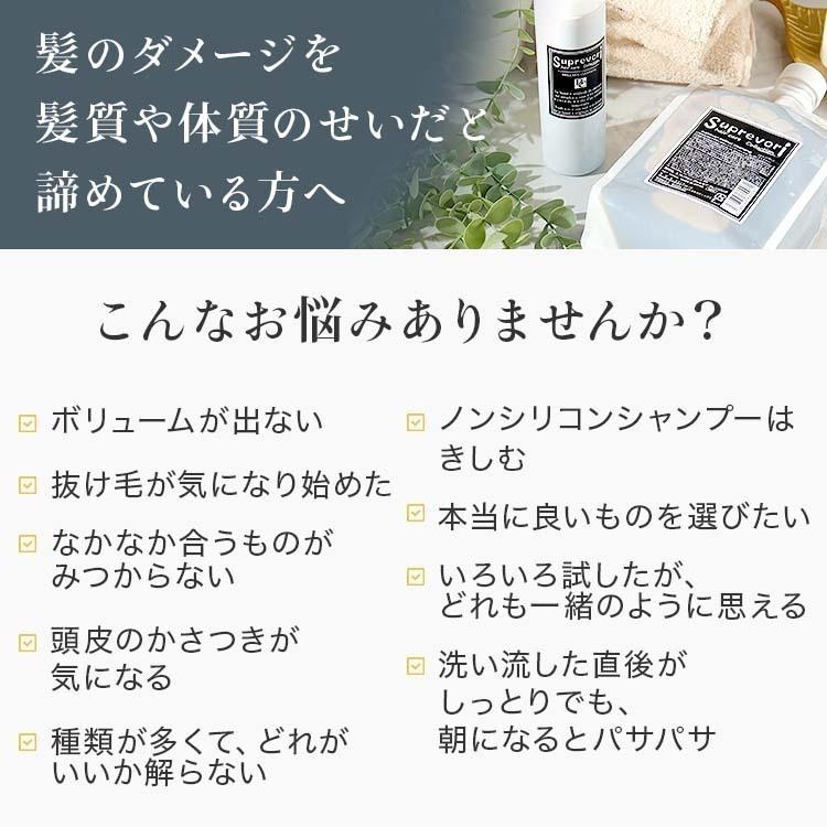 メリタン ヘマチン エイジングケア シャンプー 美容室専売 スプレヴォリ・ヴェルモアクレンジング 1000ml×２ しっとりタイプの画像