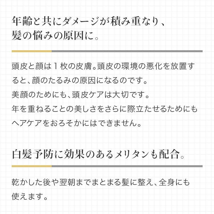 メリタン ヘマチン エイジングケア シャンプー 美容室専売 スプレヴォリ・ヴェルモアクレンジング 1000ml×２ しっとりタイプの画像