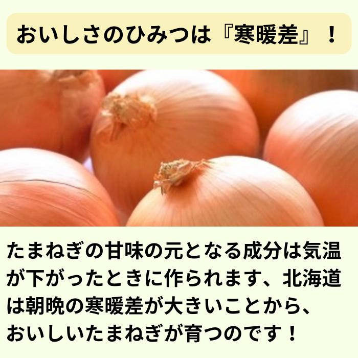 【予約商品】北海道産 たまねぎ Ｌサイズ 20kg (10kg箱×2箱）｜evo-shop｜02