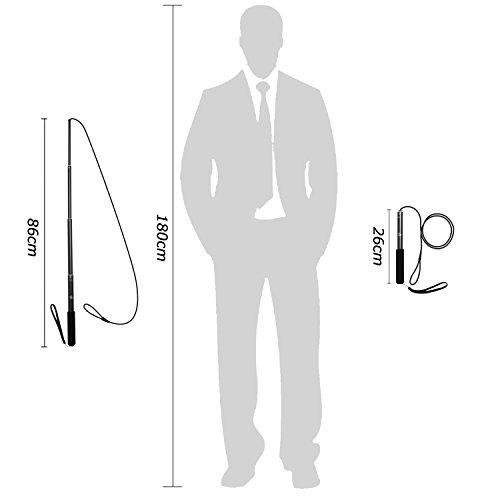 犬用 ロープ Ang 犬じゃらし 犬のおもちゃ 釣竿型 四節伸縮できる杖付き 交換用おもちゃ付き 大型犬 丈夫 L ブ Vby8177 イーヴォルブセラー 通販 Yahoo ショッピング