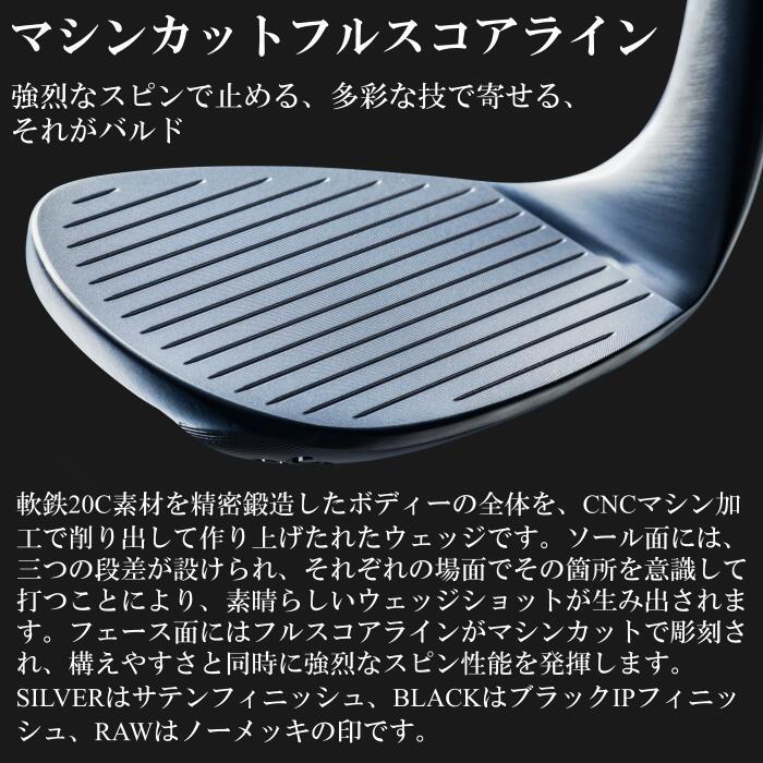 BALDO バルド ウェッジ 2025 TTフォージド プロト | NSプロ モーダス