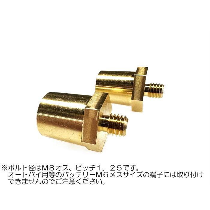 バッテリー端子 M8メス端子に接続用D端子（DIN端子・太端子）EVOTEC