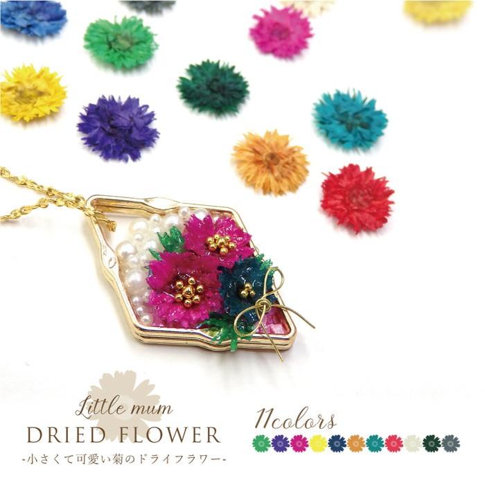 ドライフラワー リトルマム 菊 レジン ネイル 10個入り 菊 デコパーツ ハンドメイド 素材 ドライフラワー リトルマム レジン ネイル ピアス Uvレジン Nns Ninastore 通販 Yahoo ショッピング