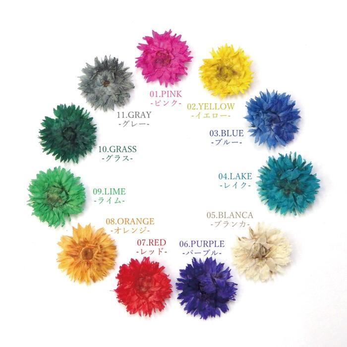 ドライフラワー リトルマム 菊 レジン ネイル 10個入り 菊 デコパーツ ハンドメイド 素材 ドライフラワー リトルマム レジン ネイル ピアス Uvレジン Nns Ninastore 通販 Yahoo ショッピング