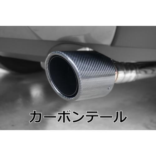EXART ONE マフラー LEXUS RX500h用 カーボンテール EA02-LX111-RC/EA02-LX111-FC スポーツ ...