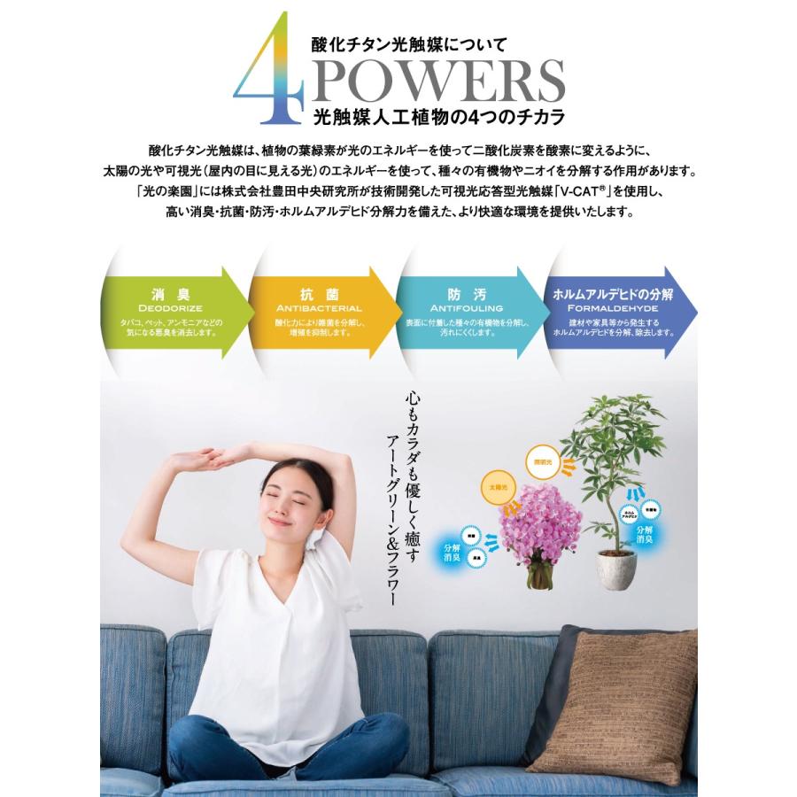 光触媒人工植物 株式会社アートクリエイション インテリア フェイク