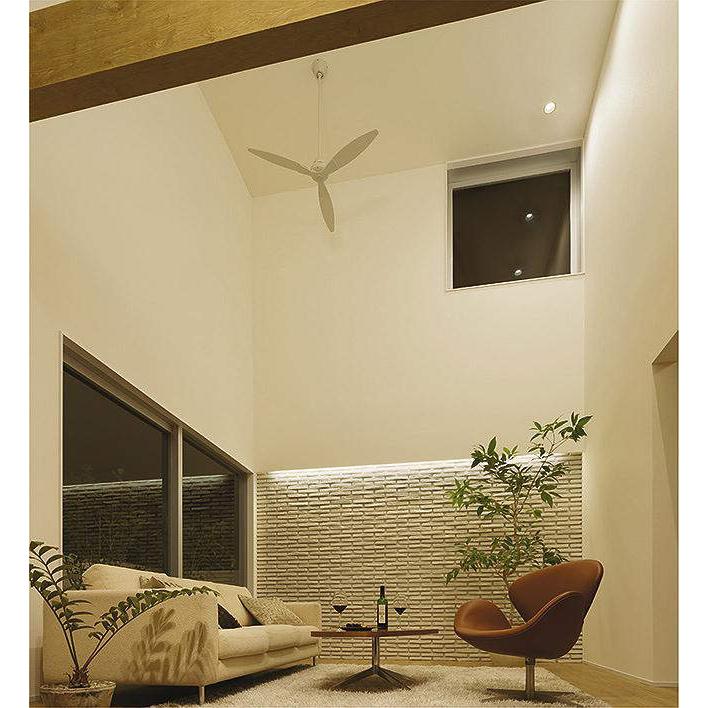 照明 おしゃれ かわいい 大光電機 DAIKO シーリングファン DP-38025F