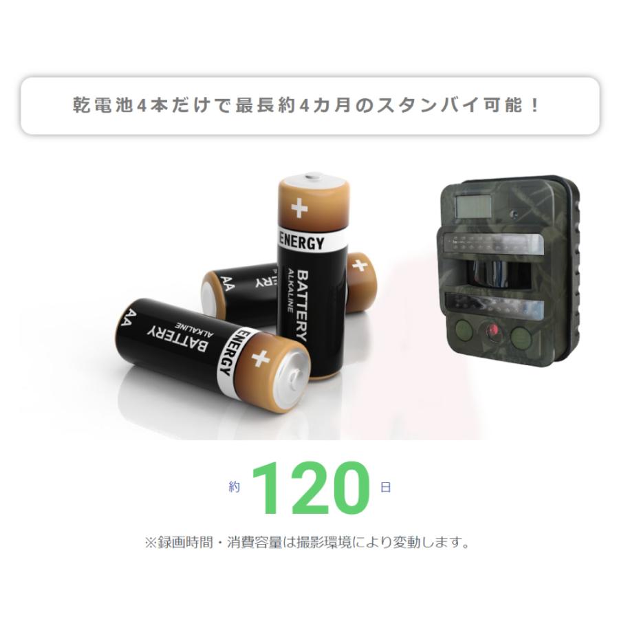 防犯カメラ ワイヤレス 屋外 電池式 ラディアントMini TL-5900DTK トレイルカメラ ラディアントミニ TL-5900DTK