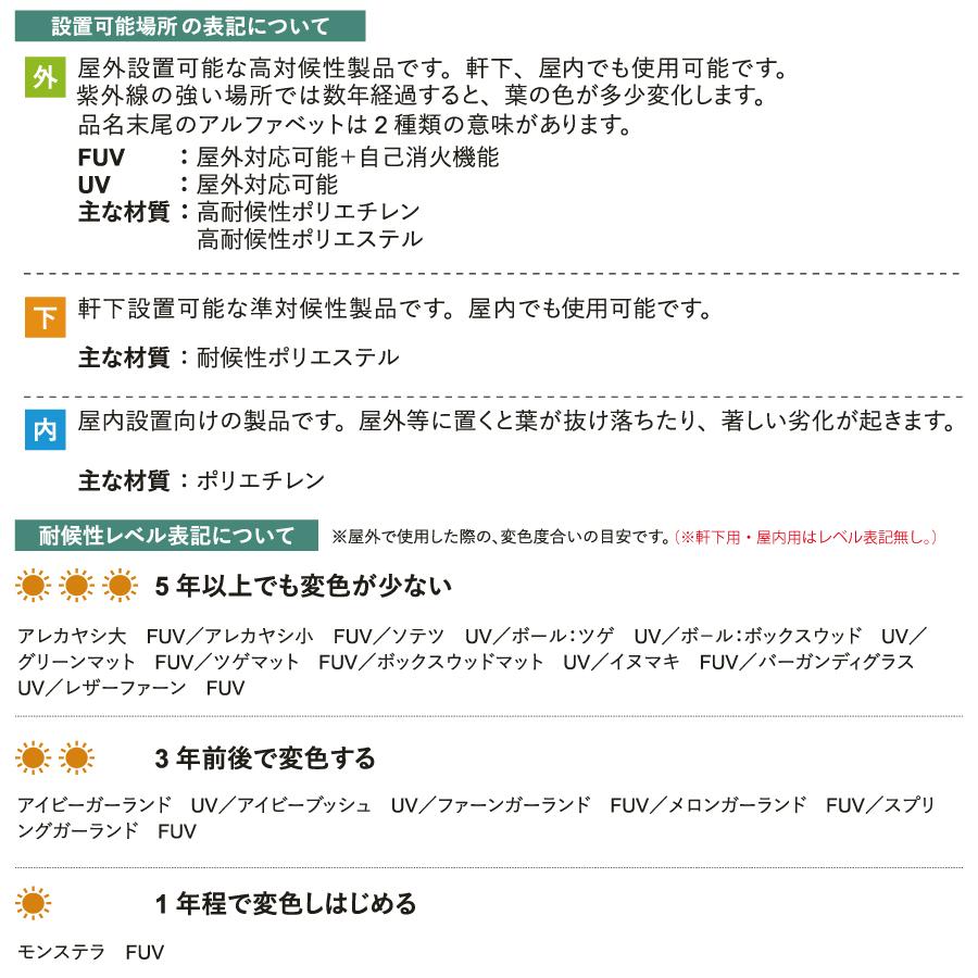 人工植物   グローベン  リフェイクグリーン   黒竹（5本立）　H1800   竹/竹リーフ・屋内用   A70NT028   完成品の画像